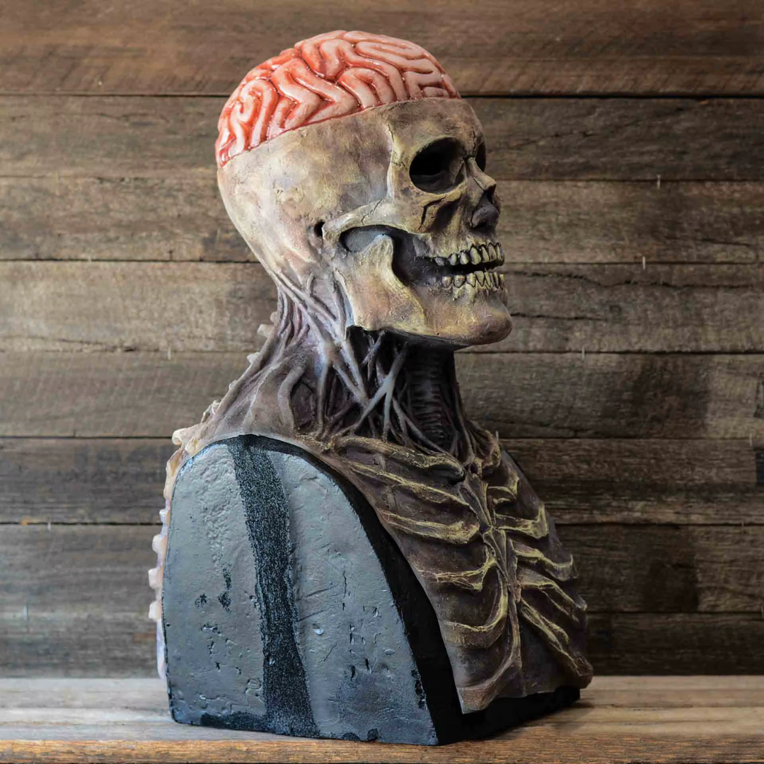 Máscara Realista de Calavera Cráneo con Cerebro Expuesto – Terror de Lujo